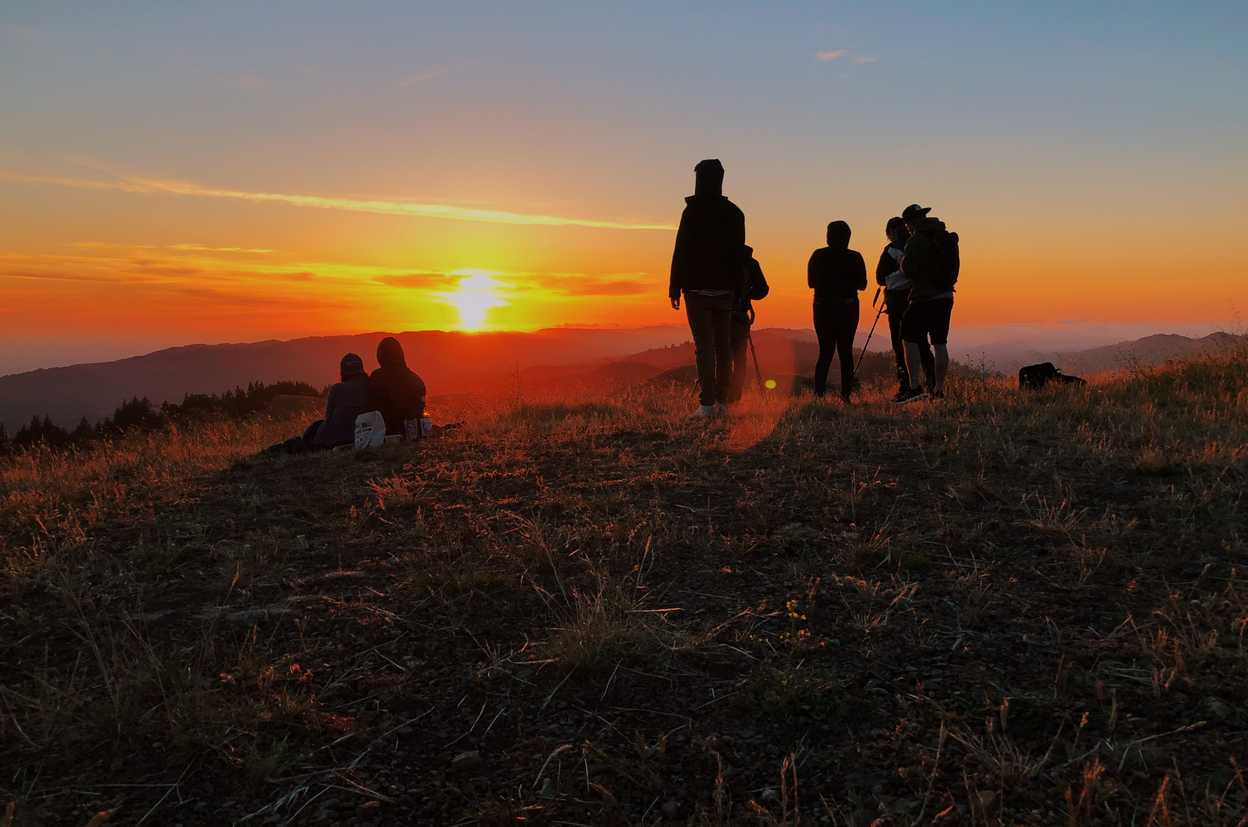 What I did this summer